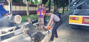 Gerak Cepat, Patroli Dit Samapta Polda Sulsel Evakuasi Pohon Tumbang di Makassar