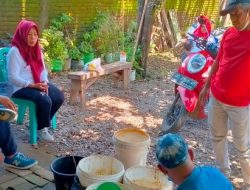 Inovasi KR2M Pembuatan Kompos Dari Sampah Rumah Tangga di Tamangapa
