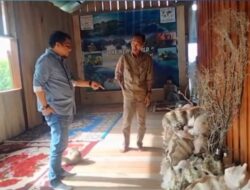 Turut Lindungi Spesies Kerang Terbesar Dunia , PLN Resmikan Rumah Edukasi Konservasi Kima