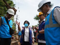 Kian Asri dan Sejuk, PLN bersama DLH Kota Makassar Tanam 37 Pohon Tabebuya