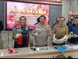 Kapolda Sulsel Pimpin Press Release Hasil Pengungkapan Kasus Tipidnarkoba Lahan Tanaman Ganja di wilayah Di Kecamatan Bonto Cani Bone