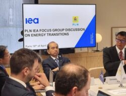 Diskusi Intensif dengan International Energy Agency, Dirut PLN Paparkan Strategi Wujudkan Transisi Energi di Indonesia