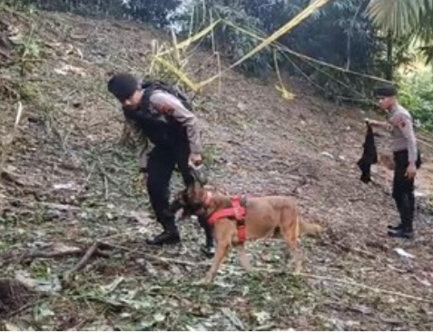 Identitas Terduga Pelaku Pembunuhan Gadis Penjual Gorengan Mulai Terungkap, Pencarian Masih Berlanjut