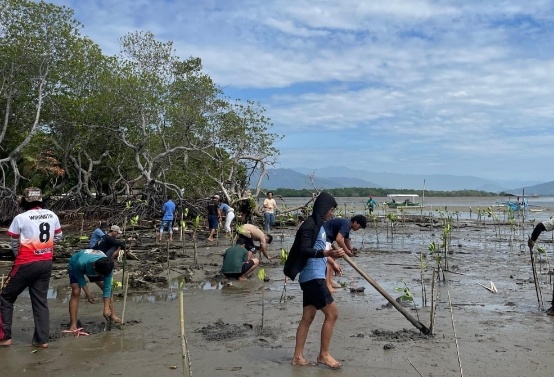 Konservasi Alam: Pemuda Toraja Laksanakan Penanaman Mangrove di Pantai Labombo Palopo