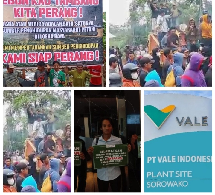 Petani Lada di Loeha Raya, Serahkan Surat Penolakan Ekspansi Tambang Nikel PT Vale Indonesia