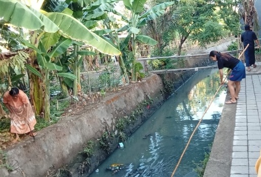 Kebersamaan Warga ORW 13: Kerja Bakti Rutin Ciptakan Lingkungan Bersih dan Rukun Antar Tatangga di Jongaya