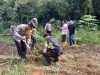 Hari Juang Kartika TNI AD: Dandim 1414 Toraja dan Pemda Hijaukan Lahan Kritis dengan Ratusan Pohon