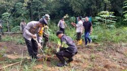 Hari Juang Kartika TNI AD: Dandim 1414 Toraja dan Pemda Hijaukan Lahan Kritis dengan Ratusan Pohon