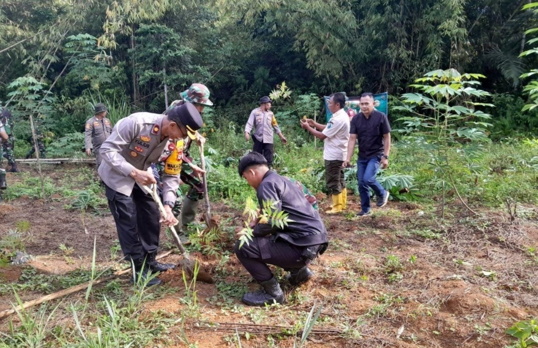 Hari Juang Kartika TNI AD: Dandim 1414 Toraja dan Pemda Hijaukan Lahan Kritis dengan Ratusan Pohon