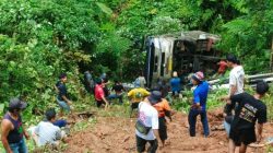 Kecelakaan Maut di Palopo: Bus Ketty Terjun ke Jurang, 7 Tewas