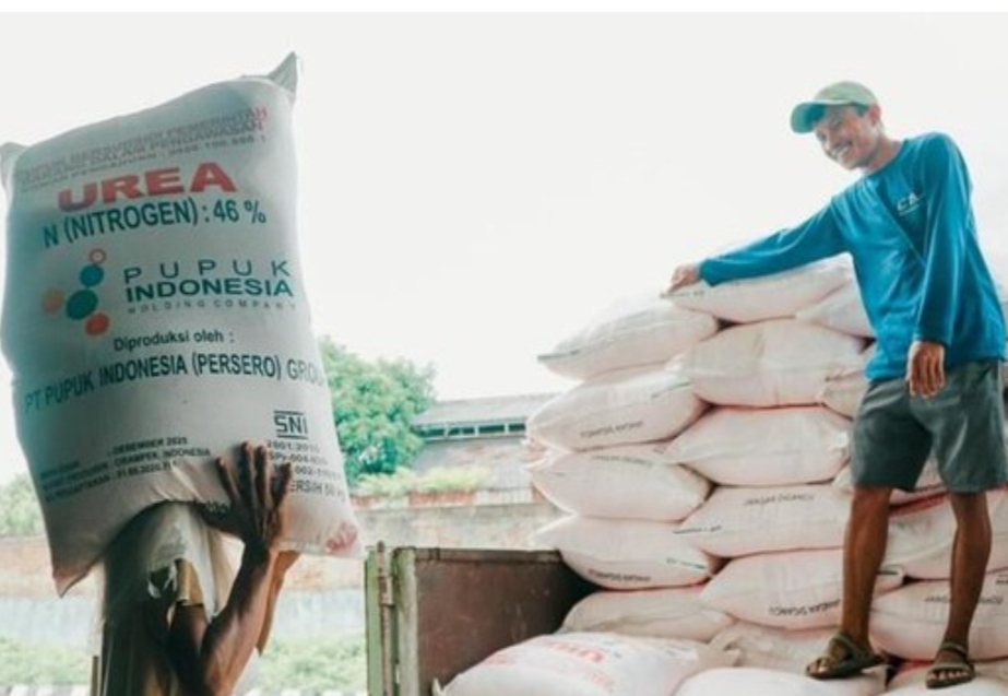Menkop Budi Arie: Koperasi Akan Terlibat dalam Penyaluran Pupuk Subsidi ke Petani