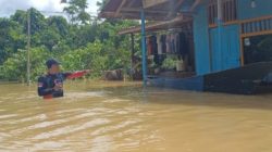 Banjir Samarinda Meluas, 357 Rumah di Sempaja Timur Terendam