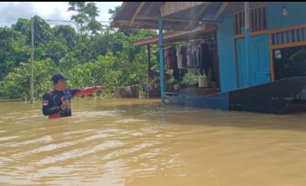 Banjir Samarinda Meluas, 357 Rumah di Sempaja Timur Terendam