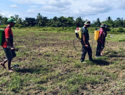 Peduli Program Pemerintah Ketahanan Pangan, Satgas TMMD 123 Kodim 1416/Muna Siapkan Lahan Siap Tanam
