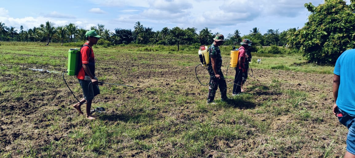 Peduli Program Pemerintah Ketahanan Pangan, Satgas TMMD 123 Kodim 1416/Muna Siapkan Lahan Siap Tanam