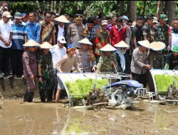 Kapolda Sulsel dan Gubernur Panen Raya Padi Serentak di Bone, Dukung Ketahanan Pangan