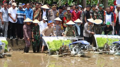Kapolda Sulsel dan Gubernur Panen Raya Padi Serentak di Bone, Dukung Ketahanan Pangan
