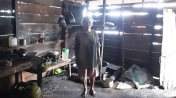 Miris! Janda 5 Anak di Luwu Utara Tidur di Gubuk Beralas Tanah, Belum Tersentuh Bantuan Pemerintah