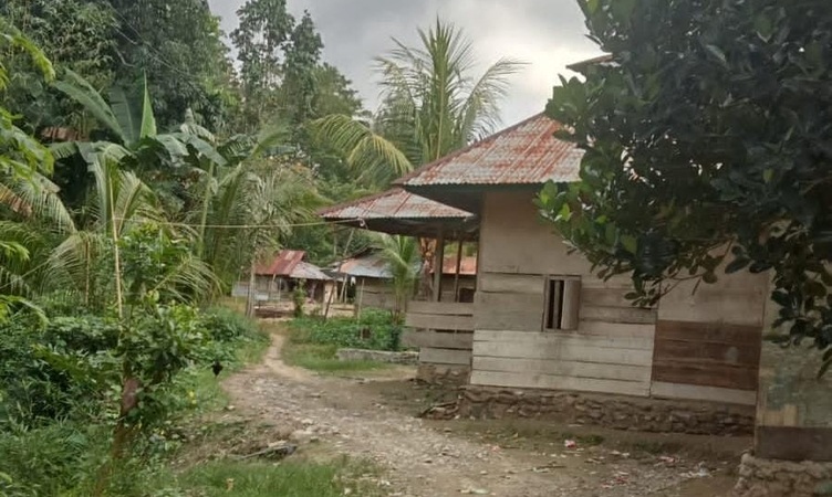 Warga Dusun Pompaniki 10 Tahun Gunakan Tiang Listrik Bambu, PLN dan Pemda Diminta Segera Bertindak