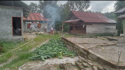 Tiang Listrik Masih Ditopang Bambu, PLN Janji Survei ke Dusun Pompaniki Luwu Utara