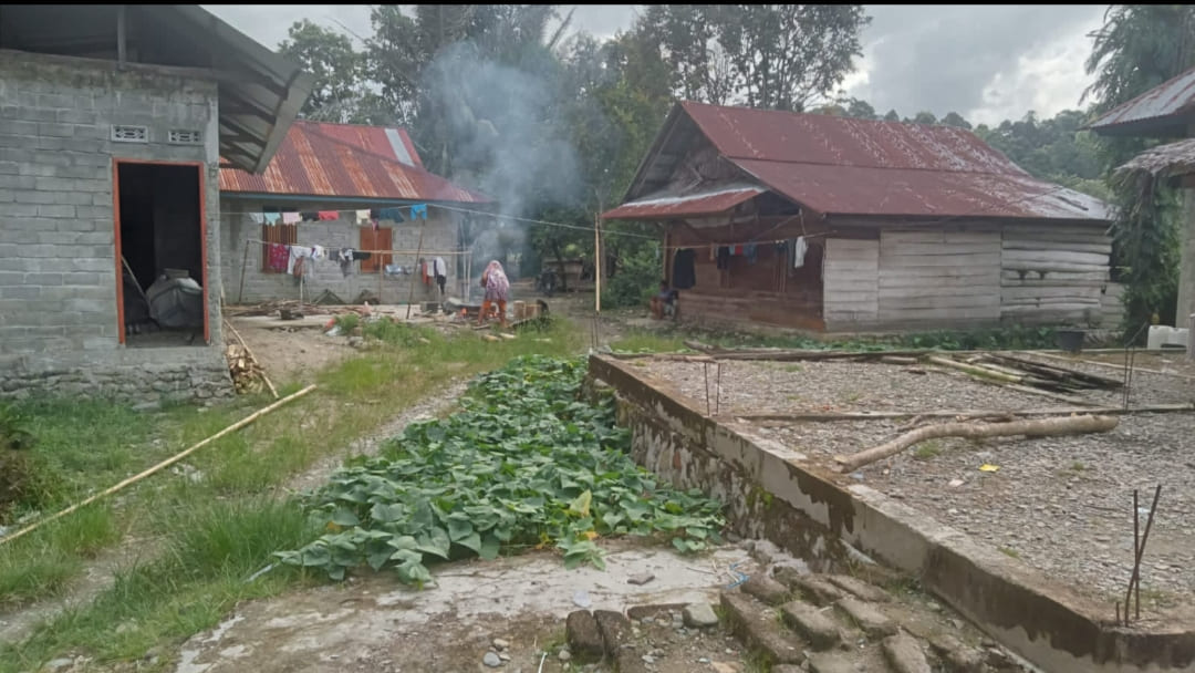 Tiang Listrik Masih Ditopang Bambu, PLN Janji Survei ke Dusun Pompaniki Luwu Utara