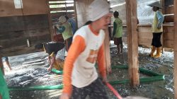 Bupati Luwu Utara Bantu Rehab Rumah Janda Tua Miskin di Rante Bone, Warga Ucapkan Terima Kasih