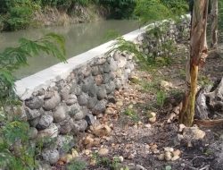 Proyek Pembangunan Tanggul Sungai di Desa Palajau, Diduga  Menyalahi Bestek