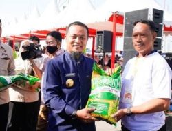 10.599 Kelompok Tani di Sulsel Dapat Bantuan Program Mandiri Benih 2025