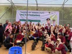 Inspirasi Urban Farming dan Tanami Tanata’: Pemuda Makassar Membuktikan Bertani Bisa Modern, Kreatif, dan Menguntungkan