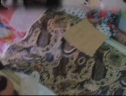Dugaan Pemulangan Paksa Pasien RS Hikmah Makassar, Ormas Elang Timur Dampingi Keluarga Tempuh Jalur Hukum